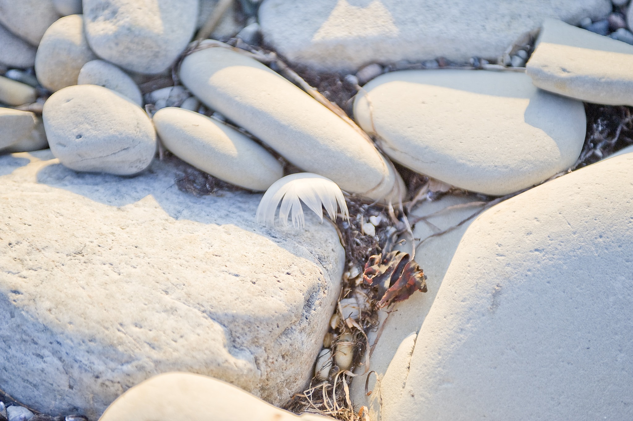 Stenar på en strand